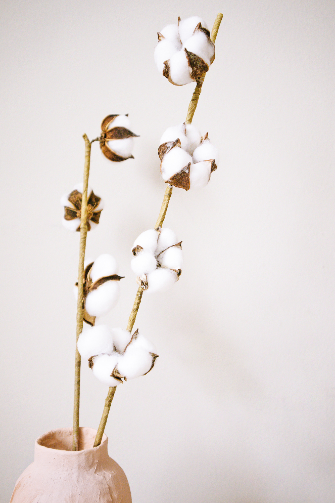Cotton flowers in handmade paper mache vase